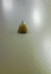 200804241918000.jpg