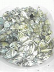 200805100034000.jpg