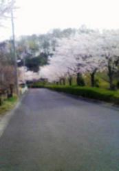 200904071522000.jpg