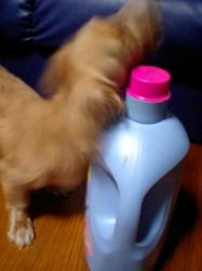 090803_20310002.jpg