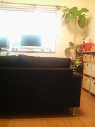 20100405133300001.jpg